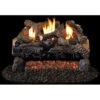 Real Fyre 16/18" Evening Fire Charred See-thru Log Set, Remote