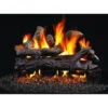 Real Fyre 18" Coastal Driftwood Vented Gas Log Set, G4 Burner