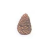 Pine Cone 4-in Medium, Rasmussen