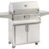 Firemagic 30" Charcoal Grill W Smoker Oven/Hood On Cart